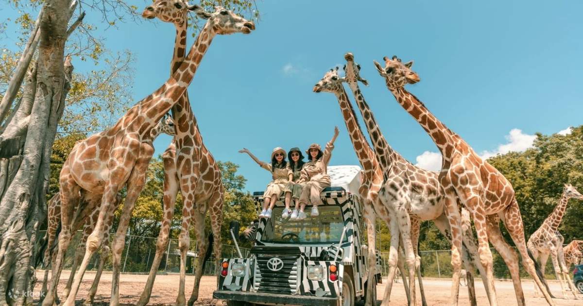 safari park kanchanaburi day trip